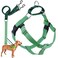 2 Hounds Design Freedom No Pull Dog Harness Adjustable Harness and Leash Set Easy Walking Comfortable Control Fits Small Medium Large Dogs Solid Colors Made in USA 58 SM Neon Green