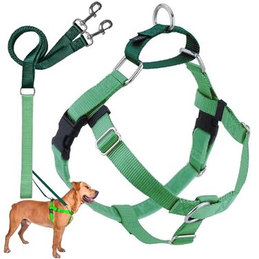 2 Hounds Design Freedom No Pull Dog Harness Adjustable Harness and Leash Set Easy Walking Comfortable Control Fits Small Medium Large Dogs Solid Colors Made in USA 58 SM Neon Green