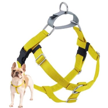 2 Hounds Design Freedom No Pull Dog Harness Adjustable Harness Easy Walking Comfortable Control Fits Small Medium Large Dogs Solid Colors Made in USA 1 MD Yellow