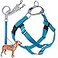 2 Hounds Design Freedom No Pull Dog Harness Adjustable Harness and Leash Set Easy Walking Comfortable Control Fits Small Medium Large Dogs Solid Colors Made in USA 1 XXL Turquoise