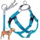 2 Hounds Design Freedom No Pull Dog Harness Adjustable Harness and Leash Set Easy Walking Comfortable Control Fits Small Medium Large Dogs Solid Colors Made in USA 1 XXL Turquoise
