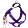 2 Hounds Design Freedom No Pull Dog Harness Adjustable Harness Easy Walking Comfortable Control Fits Small Medium Large Dogs Solid Colors Made in USA 1 MD Purple