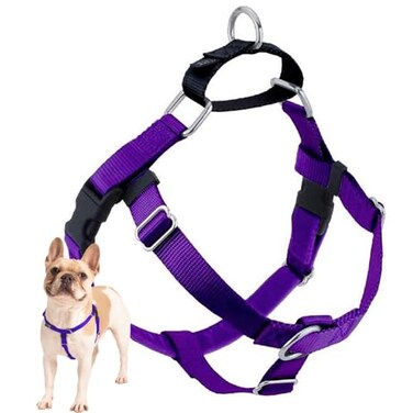 2 Hounds Design Freedom No Pull Dog Harness Adjustable Harness Easy Walking Comfortable Control Fits Small Medium Large Dogs Solid Colors Made in USA 1 MD Purple