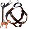 2 Hounds Design Freedom No Pull Dog Harness Adjustable Harness and Leash Set Easy Walking Comfortable Control Fits Small Medium Large Dogs Solid Colors Made in USA 1 XXL Brown