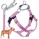 2 Hounds Design Freedom No Pull Dog Harness Adjustable Harness and Leash Set Easy Walking Comfortable Control Fits Small Medium Large Dogs Solid Colors Made in USA 1 LG Rose