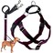 2 Hounds Design Freedom No Pull Dog Harness Adjustable Harness and Leash Set Easy Walking Comfortable Control Fits Small Medium Large Dogs Solid Colors Made in USA 1 XXL Burgundy