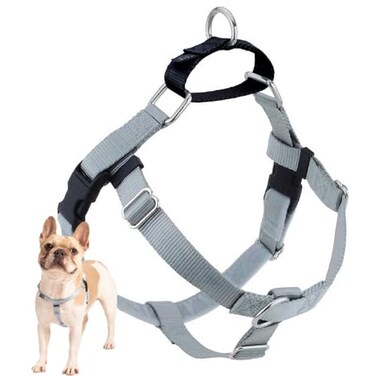 2 Hounds Design Freedom No Pull Dog Harness Adjustable Harness Easy Walking Comfortable Control Fits Small Medium Large Dogs Solid Colors Made in USA 58 SM Silver