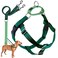 2 Hounds Design Freedom No Pull Dog Harness Adjustable Harness and Leash Set Easy Walking Comfortable Control Fits Small Medium Large Dogs Solid Colors Made in USA 58 XS Kelly Green