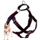 2 Hounds Design Freedom No Pull Dog Harness Adjustable Harness Easy Walking Comfortable Control Fits Small Medium Large Dogs Solid Colors Made in USA 1 XXL Burgundy