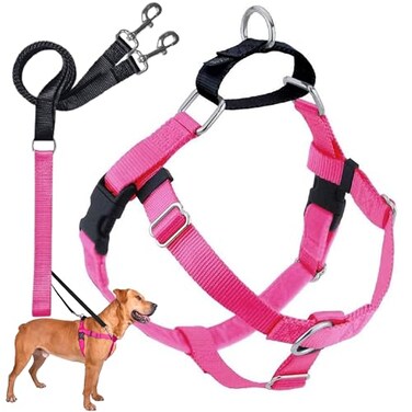 2 Hounds Design Freedom No Pull Dog Harness Adjustable Harness and Leash Set Easy Walking Comfortable Control Fits Small Medium Large Dogs Solid Colors Made in USA 58 XS Raspberry