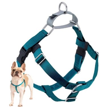 2 Hounds Design Freedom No Pull Dog Harness Adjustable Harness Easy Walking Comfortable Control Fits Small Medium Large Dogs Solid Colors Made in USA 1 XL Teal