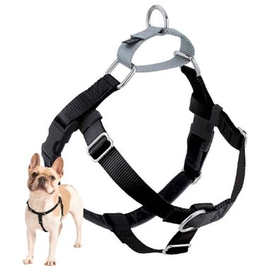 2 Hounds Design Freedom No Pull Dog Harness Adjustable Harness Easy Walking Comfortable Control Fits Small Medium Large Dogs Solid Colors Made in USA 1 MD Black