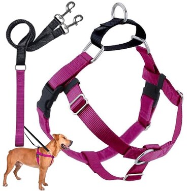 2 Hounds Design Freedom No Pull Dog Harness Adjustable Harness and Leash Set Easy Walking Comfortable Control Fits Small Medium Large Dogs Solid Colors Made in USA 1 LG Raspberry