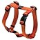 Rogz Reflective Adjustable Dog H Harness for Small to Medium Dogs matching collar and leash available Orange