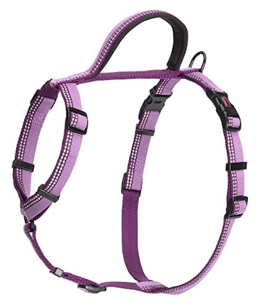 HALTI Walking Harness Lightweight Dog Harness with Handle Reflective Adjustable Ideal for Puppy Walks Suitable for Medium Dogs and Puppies Size M Purple