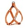 Pawtitas Solid Stepin Dog Harness Adjustable NoPull Vest for Puppies to Seniors Safe Comfortable XS Orange