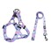 QQPETS Dog Harness Leash Set Adjustable Heavy Duty No Pull Halter Harnesses for Small Medium Large Breed Dogs Back Clip AntiTwist Perfect for Walking