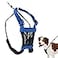 Sporn No Pull Dog Harness Durable Nylon Mesh Harness for Medium Dogs No Choke Design Padded Restraint Sleeves Adjustable Fit Easy OnOff Ideal for Medium Breeds Blue