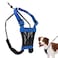 Sporn No Pull Dog Harness Durable Nylon Mesh Harness for Medium Dogs No Choke Design Padded Restraint Sleeves Adjustable Fit Easy OnOff Ideal for Medium Breeds Blue
