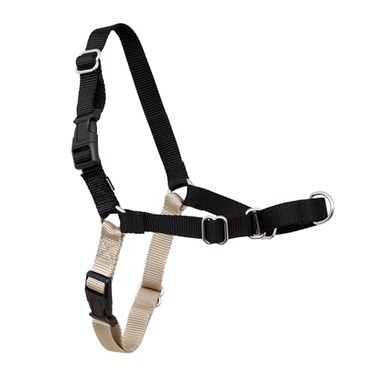 PetSafe Easy Walk NoPull Dog Harness Ultimate Harness to Help Stop Pulling PullFree Walks Take Control Teach Better Leash Manners Patented Martingale Loop Design Black Large