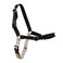PetSafe Easy Walk NoPull Dog Harness Ultimate Harness to Help Stop Pulling PullFree Walks Take Control Teach Better Leash Manners Patented Martingale Loop Design Black Large