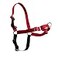 PetSafe Easy Walk NoPull Dog Harness Ultimate Harness to Help Stop Pulling PullFree Walks Take Control Teach Better Leash Manners Patented Martingale Loop Design Red Small