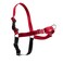 PetSafe Easy Walk NoPull Dog Harness Ultimate Harness to Help Stop Pulling PullFree Walks Take Control Teach Better Leash Manners Patented Martingale Loop Design Red Small