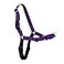 PetSafe Easy Walk NoPull Dog Harness Ultimate Harness to Help Stop Pulling PullFree Walks Take Control Teach Better Leash Manners Patented Martingale Loop Design Deep Purple Small