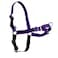 PetSafe Easy Walk NoPull Dog Harness Ultimate Harness to Help Stop Pulling PullFree Walks Take Control Teach Better Leash Manners Patented Martingale Loop Design Deep Purple Medium