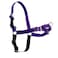 PetSafe Easy Walk NoPull Dog Harness Ultimate Harness to Help Stop Pulling PullFree Walks Take Control Teach Better Leash Manners Patented Martingale Loop Design Deep Purple Medium