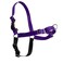 PetSafe Easy Walk NoPull Dog Harness Ultimate Harness to Help Stop Pulling PullFree Walks Take Control Teach Better Leash Manners Patented Martingale Loop Design Deep Purple Medium