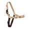 PetSafe Easy Walk NoPull Dog Harness Ultimate Harness to Help Stop Pulling PullFree Walks Take Control Teach Better Leash Manners Patented Martingale Loop Design Fawn MediumLarge