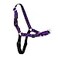 PetSafe Easy Walk NoPull Dog Harness Ultimate Harness to Help Stop Pulling PullFree Walks Take Control Teach Better Leash Manners Patented Martingale Loop Design Purple SmallMedium