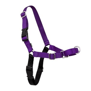 PetSafe Easy Walk NoPull Dog Harness Ultimate Harness to Help Stop Pulling PullFree Walks Take Control Teach Better Leash Manners Patented Martingale Loop Design Purple SmallMedium