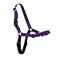 PetSafe Easy Walk NoPull Dog Harness Ultimate Harness to Help Stop Pulling PullFree Walks Take Control Teach Better Leash Manners Patented Martingale Loop Design Purple MediumLarge