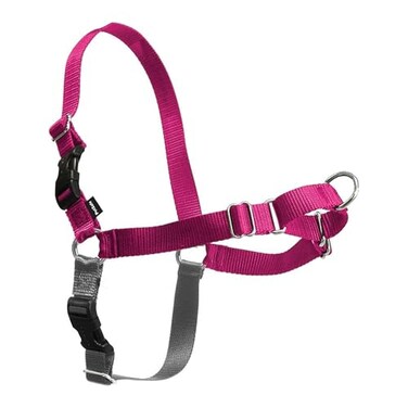PetSafe Easy Walk NoPull Dog Harness Ultimate Harness to Help Stop Pulling PullFree Walks Take Control Teach Better Leash Manners Patented Martingale Loop Design Raspberry Large