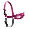 PetSafe Easy Walk NoPull Dog Harness Ultimate Harness to Help Stop Pulling PullFree Walks Take Control Teach Better Leash Manners Patented Martingale Loop Design Raspberry Large