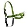 PetSafe Easy Walk NoPull Dog Harness Ultimate Harness to Help Stop Pulling PullFree Walks Take Control Teach Better Leash Manners Patented Martingale Loop Design Apple Green Small