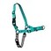 PetSafe Easy Walk NoPull Dog Harness Ultimate Harness to Help Stop Pulling PullFree Walks Take Control Teach Better Leash Manners Patented Martingale Loop Design Teal Large