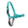 PetSafe Easy Walk NoPull Dog Harness Ultimate Harness to Help Stop Pulling PullFree Walks Take Control Teach Better Leash Manners Patented Martingale Loop Design Teal Large