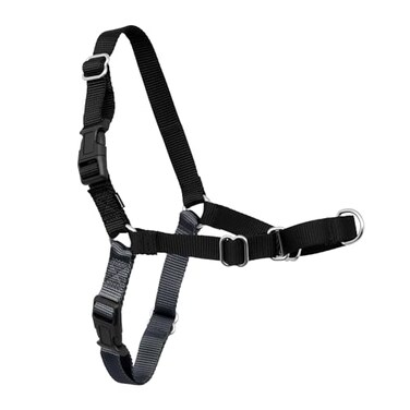 PetSafe Easy Walk NoPull Dog Harness Ultimate Harness to Help Stop Pulling PullFree Walks Take Control Teach Better Leash Manners Patented Martingale Loop Design Gray MediumLarge