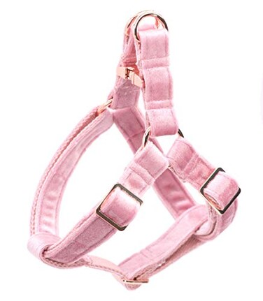 ARING PET Velvet No Pull Dog Halter Harness Adjustable Heavy Duty for Small to Large Dogs