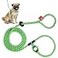 Harness Lead No Pull Dog Harness and Leash Set Anti Pull Dog Harness OnePiece Cushioned Rope Safely Prevents Escaping and Pulling SmallMedium PeacockBlueLime
