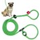 Harness Lead No Pull Dog Harness and Leash Set Anti Pull Dog Harness OnePiece Cushioned Rope Safely Prevents Escaping and Pulling SmallMedium PeacockBlueLime