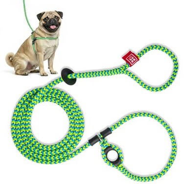 Harness Lead No Pull Dog Harness and Leash Set Anti Pull Dog Harness OnePiece Cushioned Rope Safely Prevents Escaping and Pulling SmallMedium PeacockBlueLime
