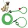 Harness Lead No Pull Dog Harness and Leash Set Anti Pull Dog Harness OnePiece Cushioned Rope Safely Prevents Escaping and Pulling SmallMedium PeacockBlueLime
