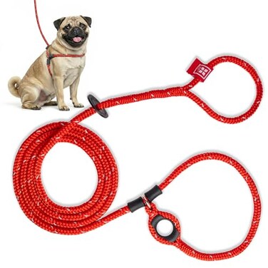 Harness Lead No Pull Dog Harness and Leash Set Anti Pull Dog Harness OnePiece Cushioned Rope Safely Prevents Escaping and Pulling SmallMedium RedReflective