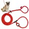 Harness Lead No Pull Dog Harness and Leash Set Anti Pull Dog Harness OnePiece Cushioned Rope Safely Prevents Escaping and Pulling SmallMedium RedReflective