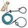 Harness Lead No Pull Dog Harness and Leash Set Anti Pull Dog Harness OnePiece Cushioned Rope Safely Prevents Escaping and Pulling MediumLarge PurpleTurquoise