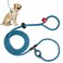 Harness Lead No Pull Dog Harness and Leash Set Anti Pull Dog Harness OnePiece Cushioned Rope Safely Prevents Escaping and Pulling MediumLarge PurpleTurquoise